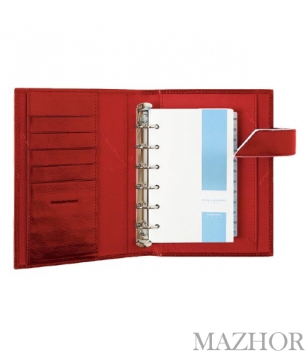 ���������� ��������� Piquadro AG1834B2_R - ���� �1