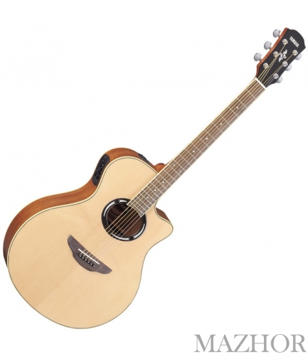 ������������������� ������ Yamaha APX500II - ���� �1