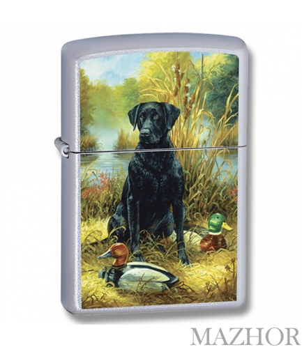 ��������� Zippo Linda Picken Labrador Satin Chrome 24410 - ���� �1