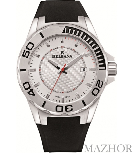   Delbana 41501.586.6.061 -  1