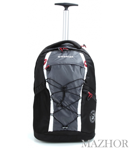 ������ ��� ������� � ������� � ��������� ������ Wenger 3053204461 - ���� �1