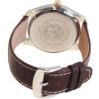   Citizen Eco-Drive AW1031-31A -  3