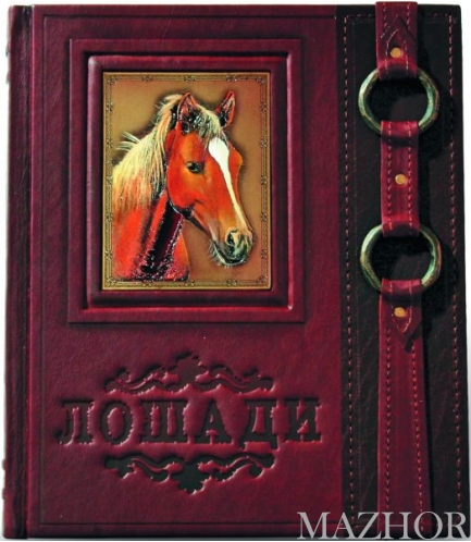 ������. ����� ������������ 451(��) - ���� �1