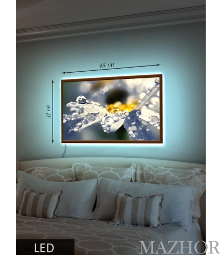   Led- 