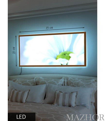   Led- 