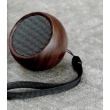 Bluetooth- Gingko 