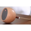 Bluetooth-  Gingko 