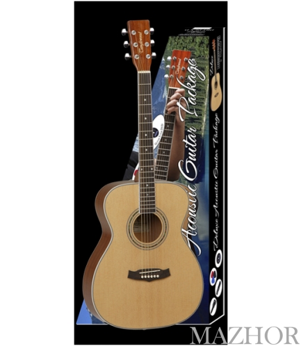 ������ � �������� TANGLEWOOD DBT DLX F - ���� �1